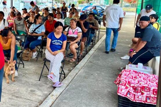 Ayuntamiento de Benito Juárez y PETA Latino realizan 340 esterilizaciones gratuitas para perros y gatos
